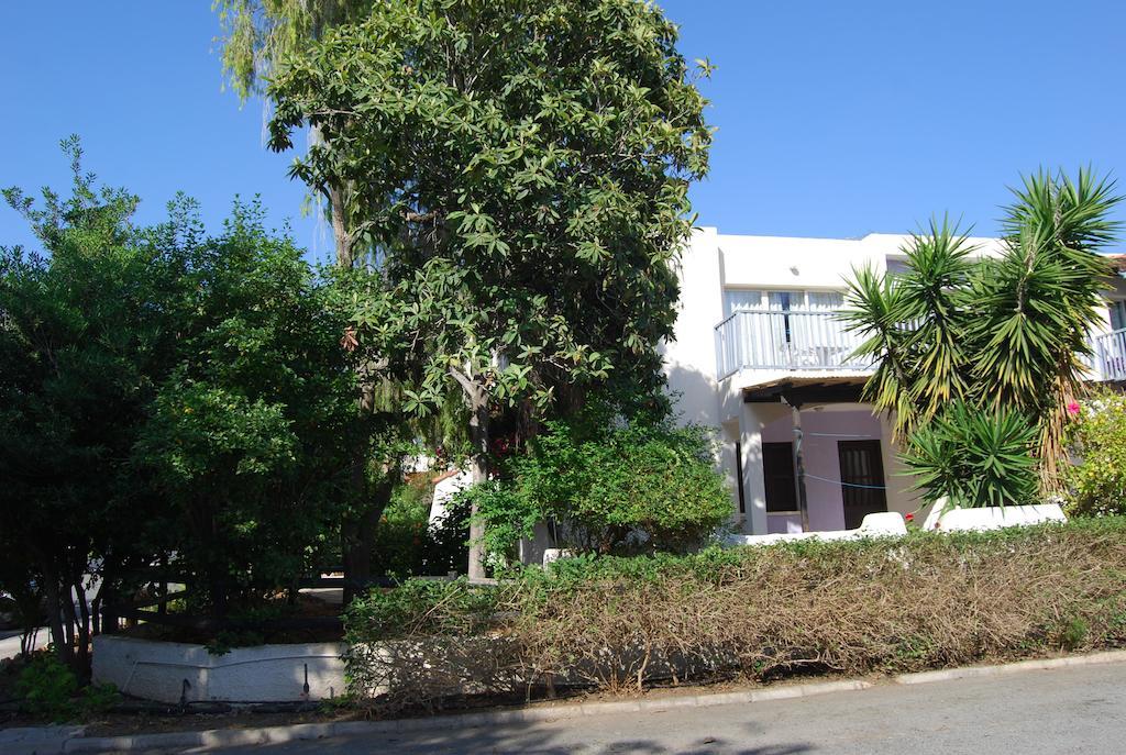 Margarita 110 Apartment Paphos ห้อง รูปภาพ