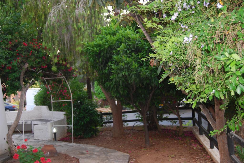 Margarita 110 Apartment Paphos ห้อง รูปภาพ