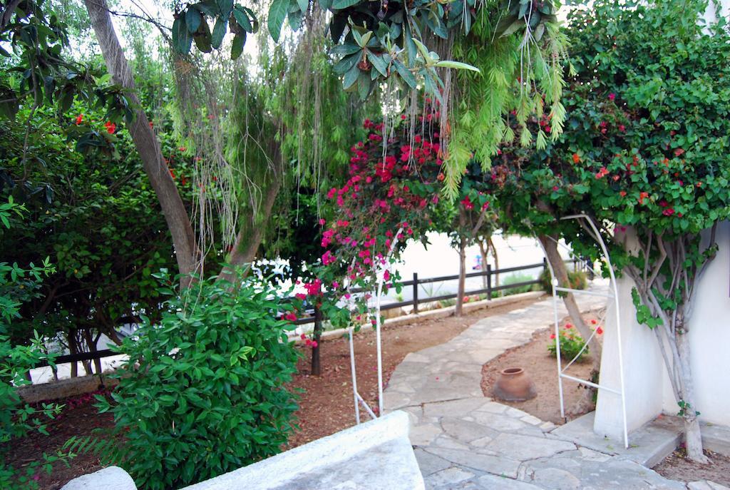 Margarita 110 Apartment Paphos ห้อง รูปภาพ